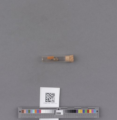 NSF ADBC EPICC TCN
