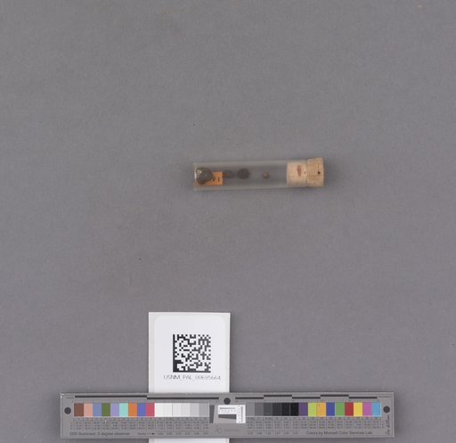 NSF ADBC EPICC TCN