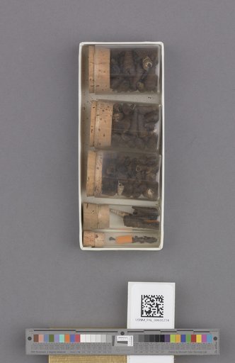 NSF ADBC EPICC TCN