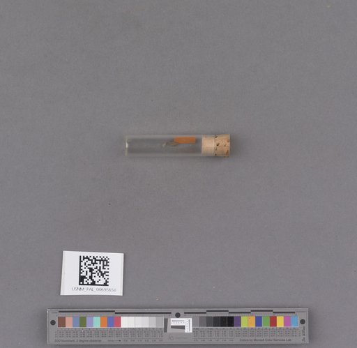 NSF ADBC EPICC TCN