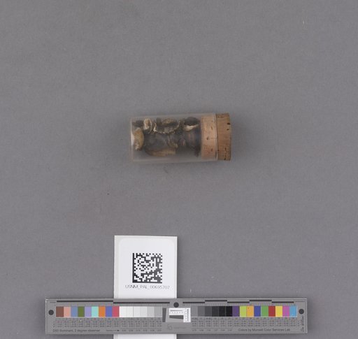 NSF ADBC EPICC TCN