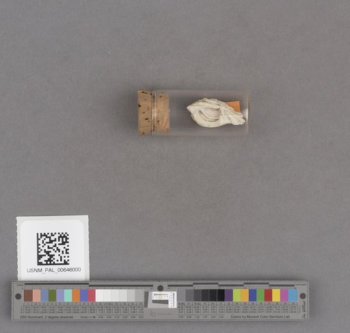 NSF ADBC EPICC TCN