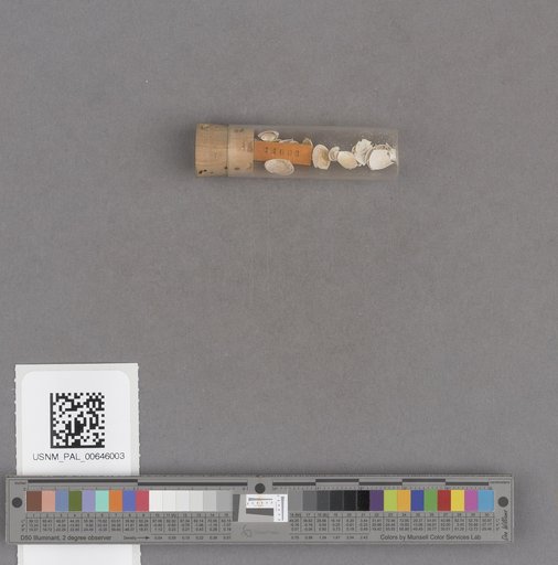 NSF ADBC EPICC TCN