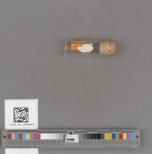 NSF ADBC EPICC TCN