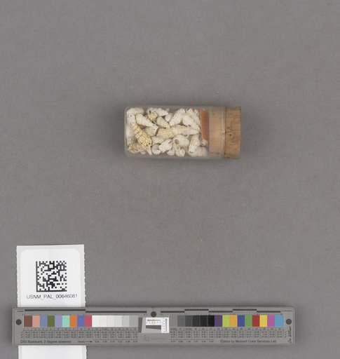 NSF ADBC EPICC TCN