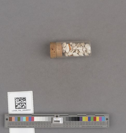 NSF ADBC EPICC TCN