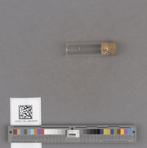 NSF ADBC EPICC TCN