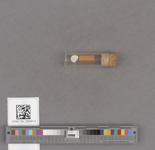 NSF ADBC EPICC TCN