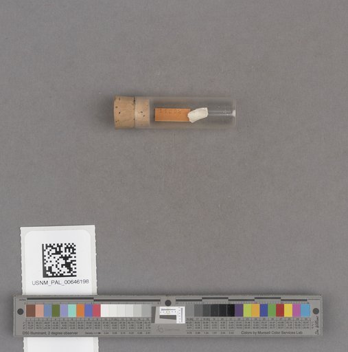 NSF ADBC EPICC TCN