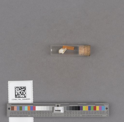 NSF ADBC EPICC TCN