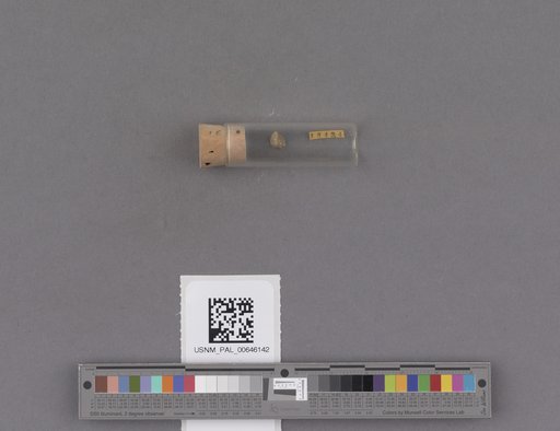 NSF ADBC EPICC TCN