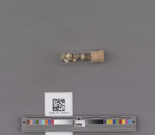 NSF ADBC EPICC TCN
