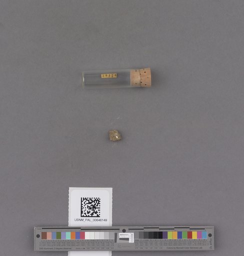 NSF ADBC EPICC TCN