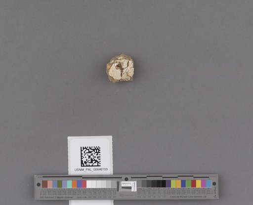 NSF ADBC EPICC TCN