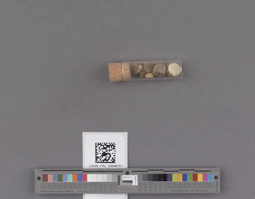 NSF ADBC EPICC TCN