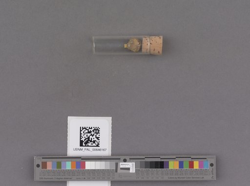 NSF ADBC EPICC TCN