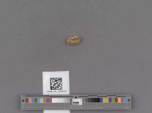NSF ADBC EPICC TCN