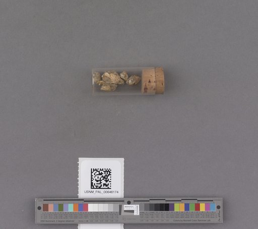 NSF ADBC EPICC TCN