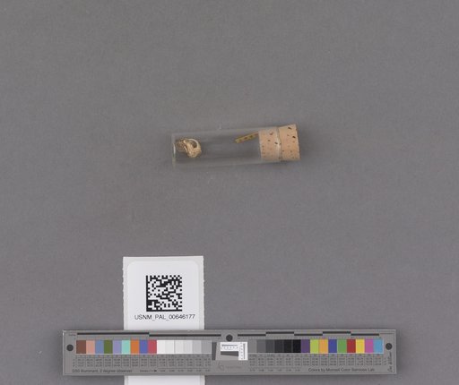 NSF ADBC EPICC TCN