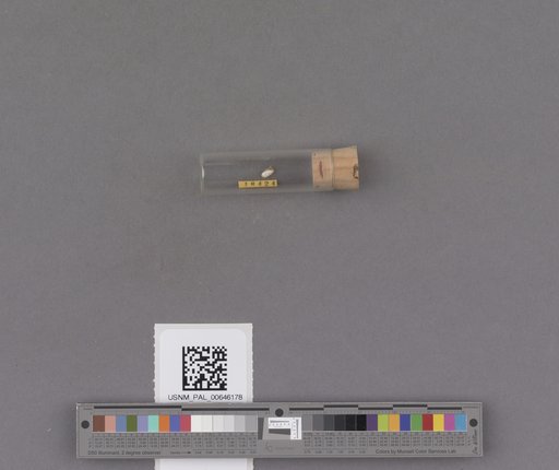 NSF ADBC EPICC TCN