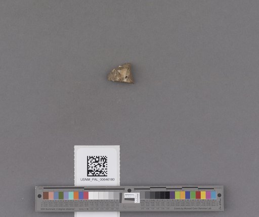 NSF ADBC EPICC TCN