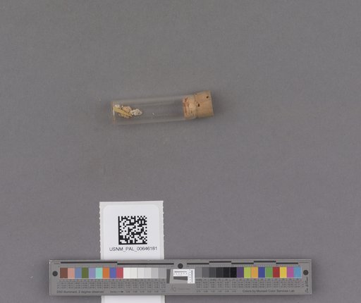 NSF ADBC EPICC TCN
