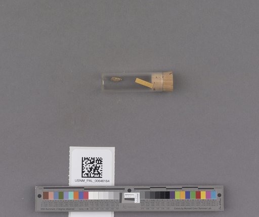 NSF ADBC EPICC TCN