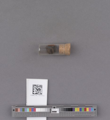 NSF ADBC EPICC TCN