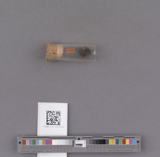 NSF ADBC EPICC TCN