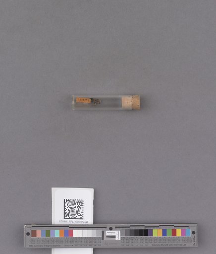 NSF ADBC EPICC TCN
