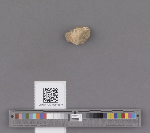 NSF ADBC EPICC TCN