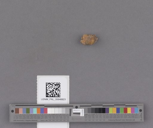 NSF ADBC EPICC TCN