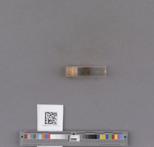 NSF ADBC EPICC TCN