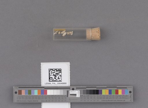 NSF ADBC EPICC TCN