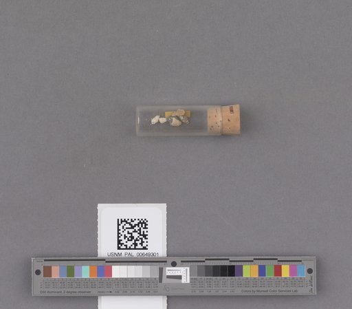 NSF ADBC EPICC TCN