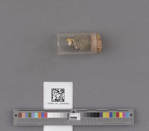 NSF ADBC EPICC TCN