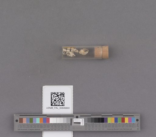 NSF ADBC EPICC TCN