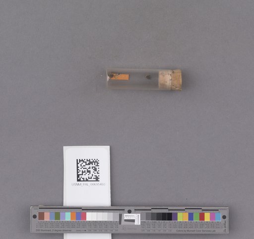 NSF ADBC EPICC TCN