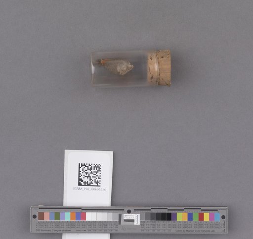 NSF ADBC EPICC TCN