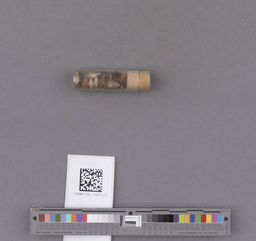 NSF ADBC EPICC TCN