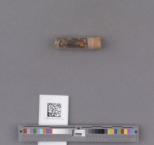 NSF ADBC EPICC TCN