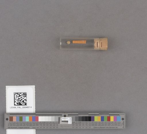 NSF ADBC EPICC TCN