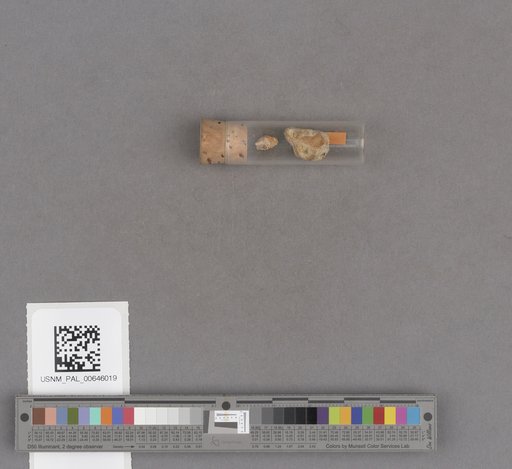 NSF ADBC EPICC TCN