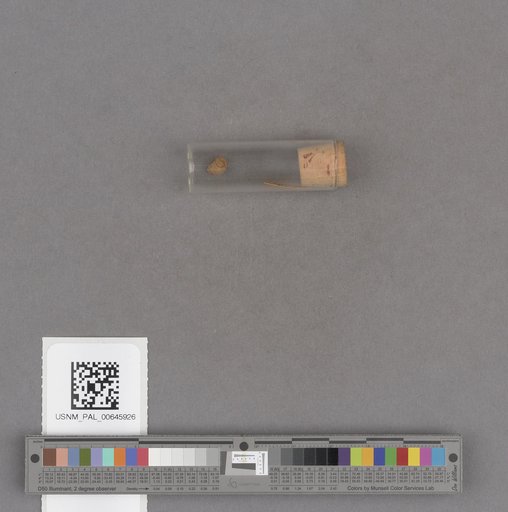 NSF ADBC EPICC TCN
