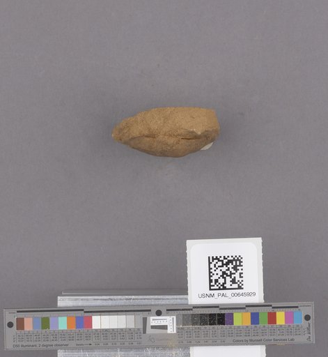 NSF ADBC EPICC TCN