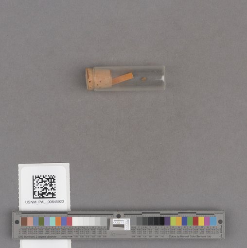 NSF ADBC EPICC TCN