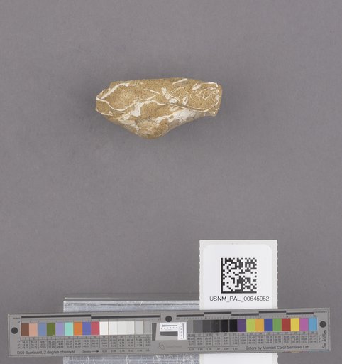 NSF ADBC EPICC TCN