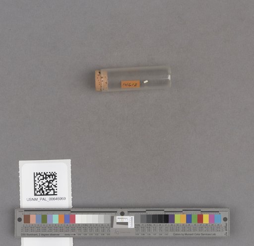 NSF ADBC EPICC TCN
