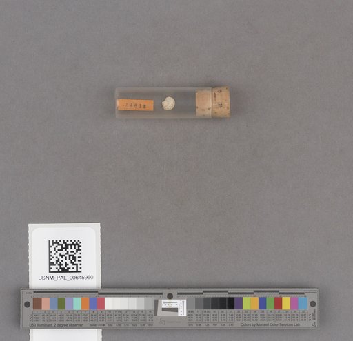 NSF ADBC EPICC TCN