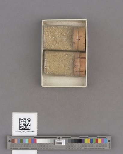 NSF ADBC EPICC TCN